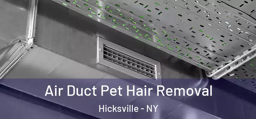  Air Duct Pet Hair Removal Hicksville - NY