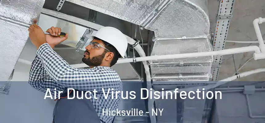 Air Duct Virus Disinfection Hicksville - NY