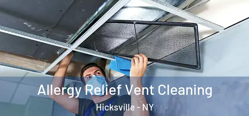  Allergy Relief Vent Cleaning Hicksville - NY