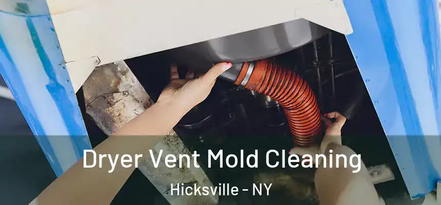 Dryer Vent Mold Cleaning Hicksville - NY