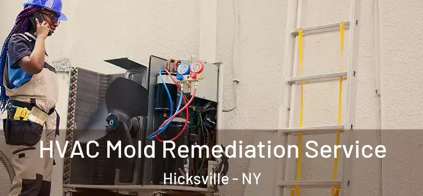 HVAC Mold Remediation Service Hicksville - NY
