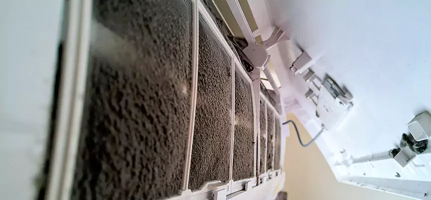 Preventive Air Duct Bacteria Removal in Hicksville