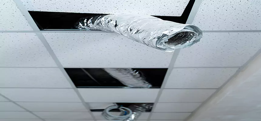 Affordable HVAC Sanitizing After Pest Removal in Hicksville