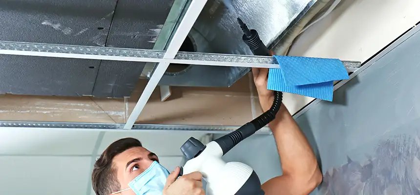 Our Air Duct Rodent Removal Services in Hicksville, NY