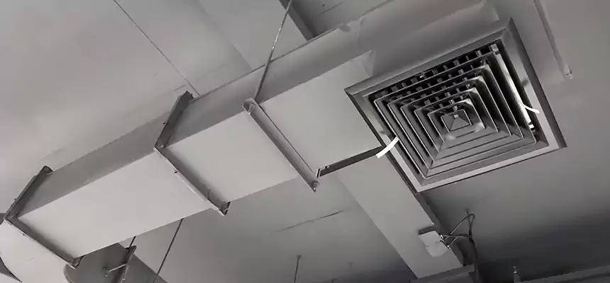 Restorative Allergy Relief Vent Cleaning – Coil, Blower & Housing Detail in Hicksville