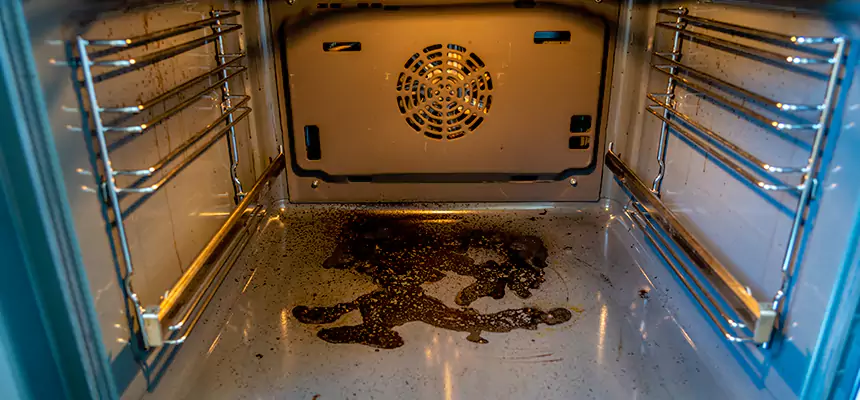 Our Dryer Vent Mold Cleaning Services in Hicksville, NY