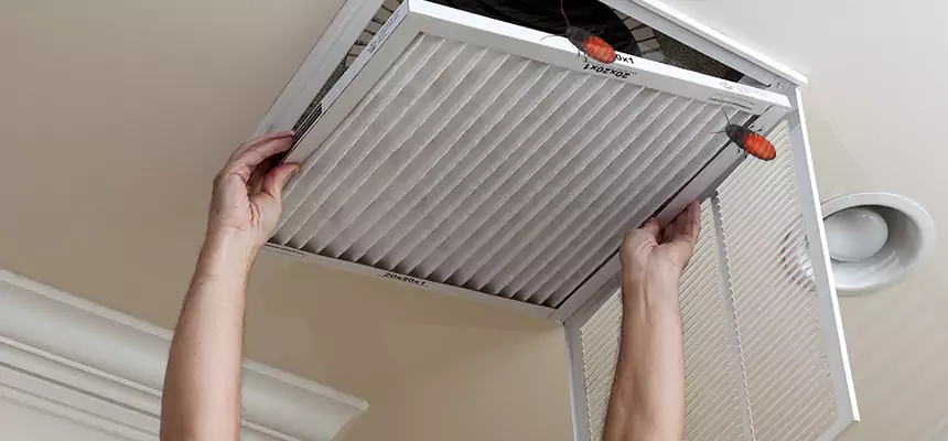 Our Insect Removal from Air Ducts Services in Hicksville, NY