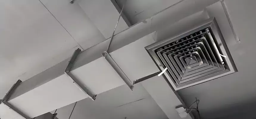 Our Rodent Droppings In Vents Services in Hicksville, NY