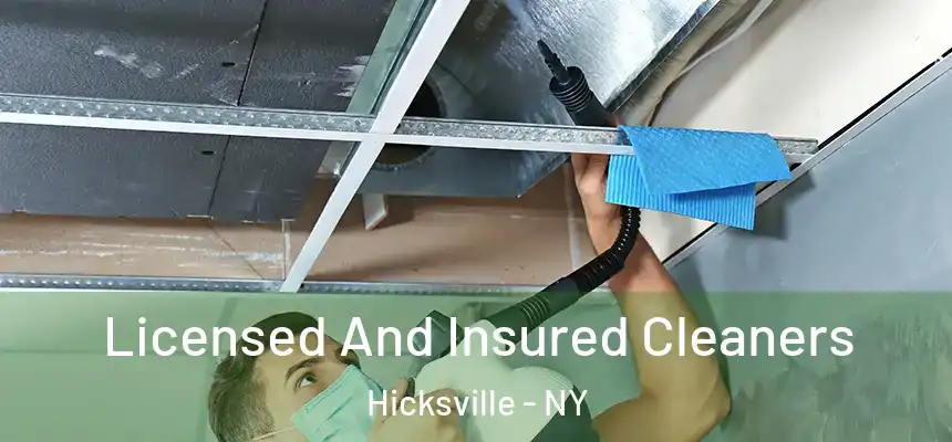  Licensed And Insured Cleaners Hicksville - NY