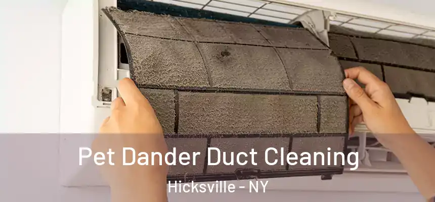  Pet Dander Duct Cleaning Hicksville - NY