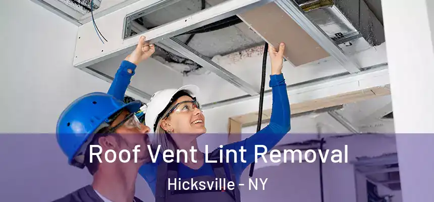 Roof Vent Lint Removal Hicksville - NY