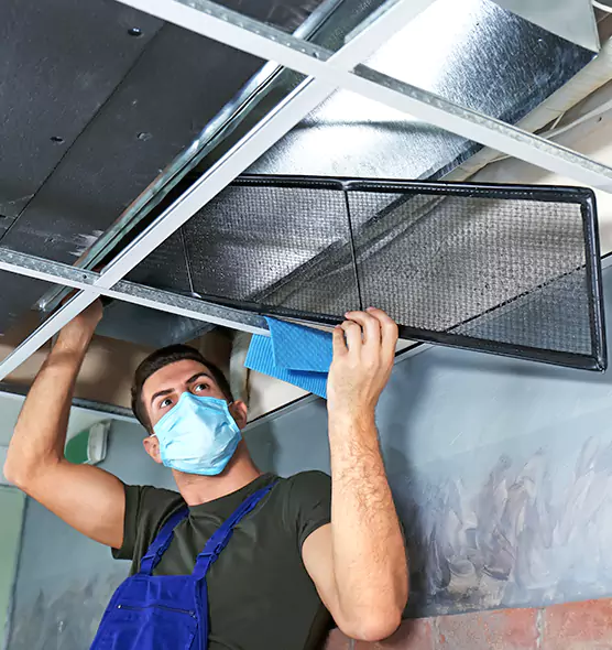 About Air Duct Bacteria Removal in Hicksville