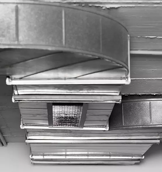 Professional Air Duct Pet Hair Removal in Hicksville, NY