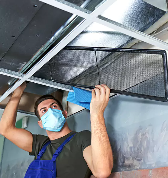 Professional Air Duct Pollen Cleaning in Hicksville, NY