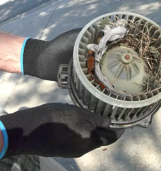 About Air Duct Rat Removal in Hicksville, NY