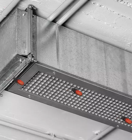 Affordable Insect Removal from Air Ducts in Hicksville, NY