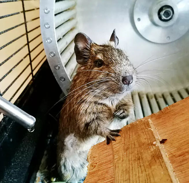 Why Homeowners & Businesses Trust Us Hicksville, NY?