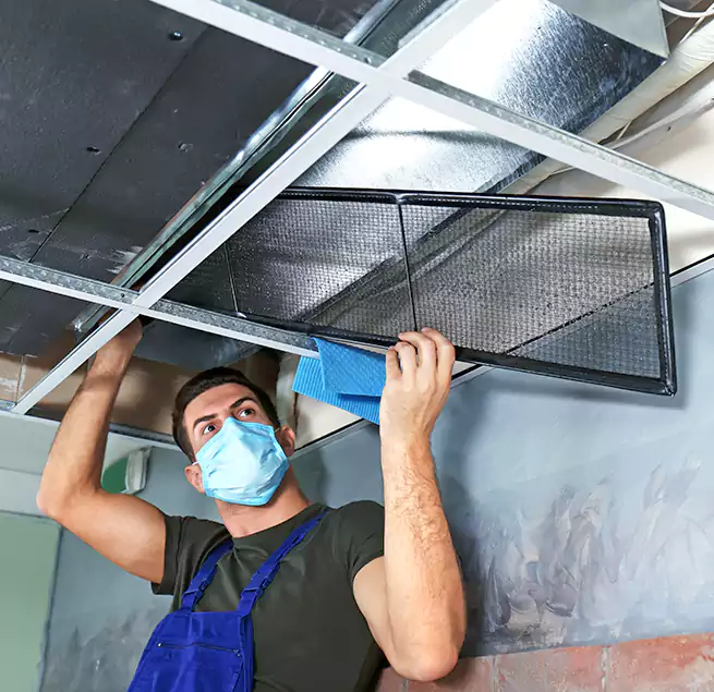 Why Homeowners Businesses Trust Us in Hicksville, NY